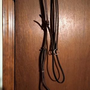 Horse size schooling running martingale